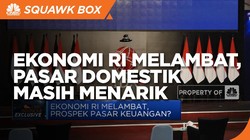Ekonomi RI Melambat, Pasar Domestik Masih Menarik?