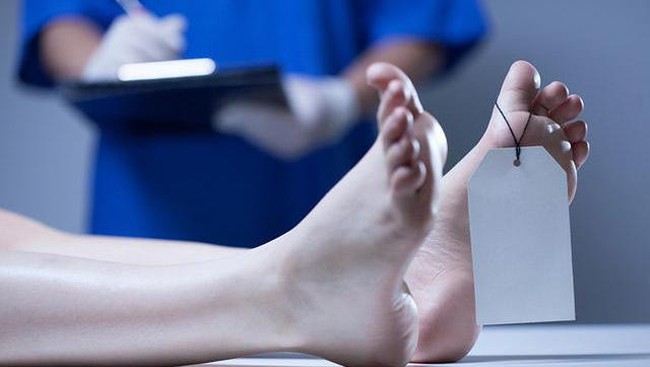 Peneliti Israel: 50% Umur Manusia Sudah Ditentukan di Dalam Kandungan