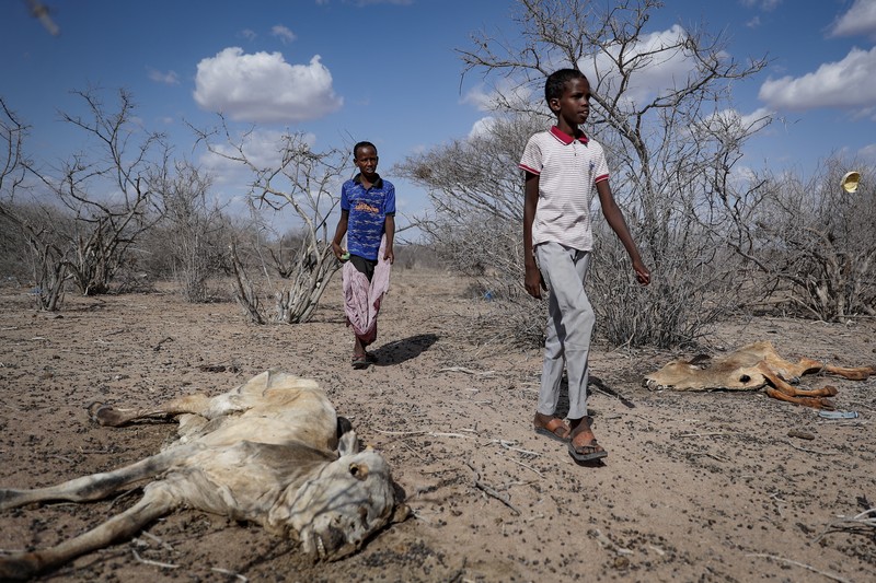 Kekeringan Kenya. (REUTERS/BAZ RATNER) Kekeringan Kenya. (REUTERS/BAZ RATNER)