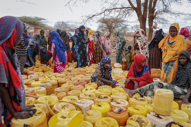 Kekeringan Kenya. (REUTERS/BAZ RATNER)