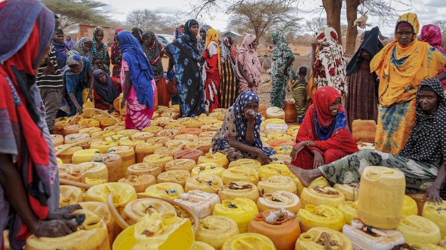 Kekeringan Kenya. (REUTERS/BAZ RATNER)