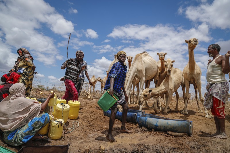 Kekeringan Kenya. (REUTERS/BAZ RATNER)