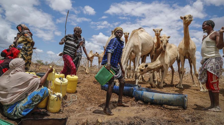 Kekeringan Kenya. (REUTERS/BAZ RATNER)