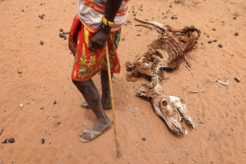 Kekeringan Kenya. (REUTERS/BAZ RATNER)