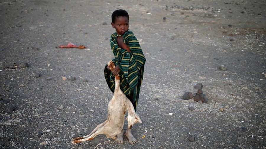 Kekeringan Kenya. (REUTERS/BAZ RATNER)