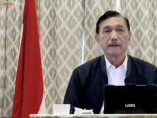 Penjelasan Luhut Soal Kenaikan Kasus Covid di Puluhan Daerah