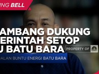 RI Setop PLTU Batu Bara, Penambang: Kami Dukung Pemerintah
