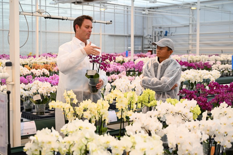 Jack Ma, pendiri Alibaba Group, mengunjungi penanam bunga Belanda Anthura di kota Bleiswijk. (REUTERS/Charles Platiau) Jack Ma, pendiri Alibaba Group, mengunjungi penanam bunga Belanda Anthura di kota Bleiswijk. (REUTERS/Charles Platiau)