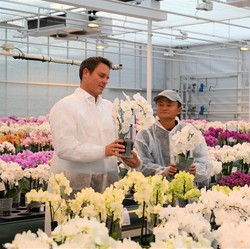 Soulmate Jadi Alasan Jack Ma Pindah ke Jepang, Siapa Tuh...