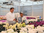 Soulmate Jadi Alasan Jack Ma Pindah ke Jepang, Siapa Tuh...