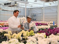 Soulmate Jadi Alasan Jack Ma Pindah ke Jepang, Siapa Tuh...