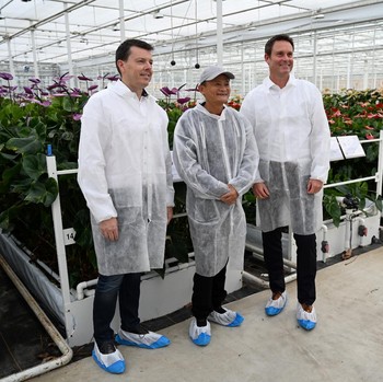 Intip Cara Jack Ma Redam Kemarahan Xi Jinping