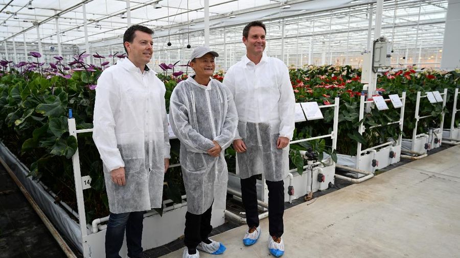 Jack Ma, pendiri Alibaba Group, mengunjungi penanam bunga Belanda Anthura di kota Bleiswijk. (REUTERS/Charles Platiau)