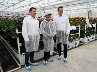 Intip Cara Jack Ma Redam Kemarahan Xi Jinping