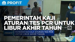 Pemerintah Kaji Aturan Tes PCR Untuk Libur Akhir Tahun