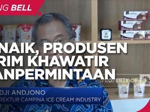 Produsen Es Krim Khawatir Kenaikan PPN Akan Tekan Permintaan