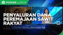 Strategi BPDPKS Percepat Program Peremajaan Sawit Rakyat