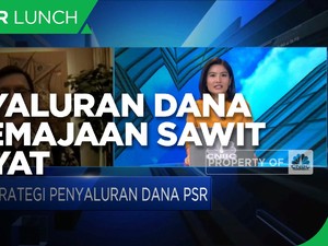Strategi BPDPKS Percepat Program Peremajaan Sawit Rakyat