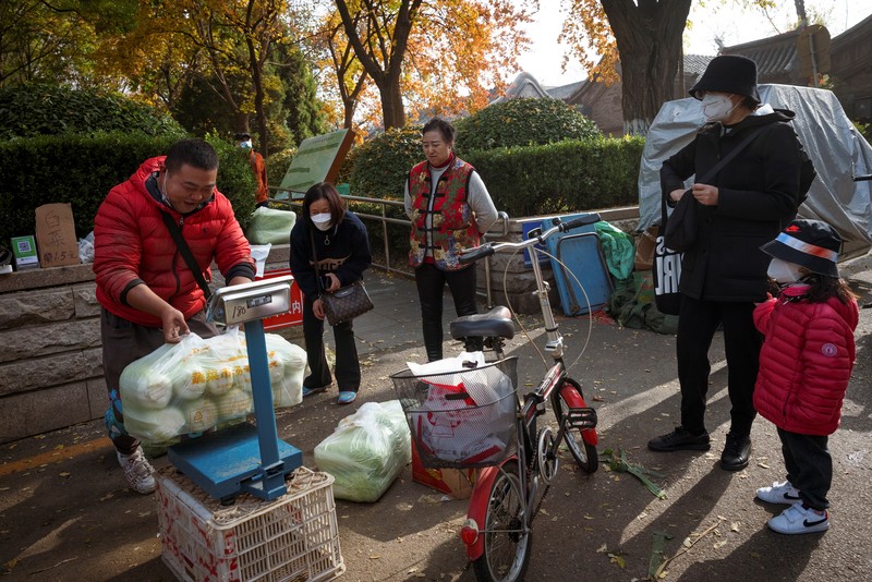 Warga China mulai menimbun kubis untuk musim dingin. (REUTERS/THOMAS PETER)