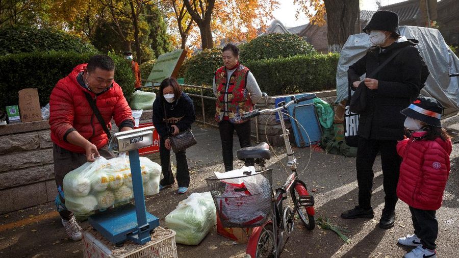 Warga China mulai menimbun kubis untuk musim dingin. (REUTERS/THOMAS PETER)