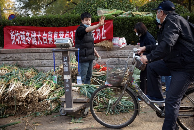 Warga China mulai menimbun kubis untuk musim dingin. (REUTERS/THOMAS PETER)