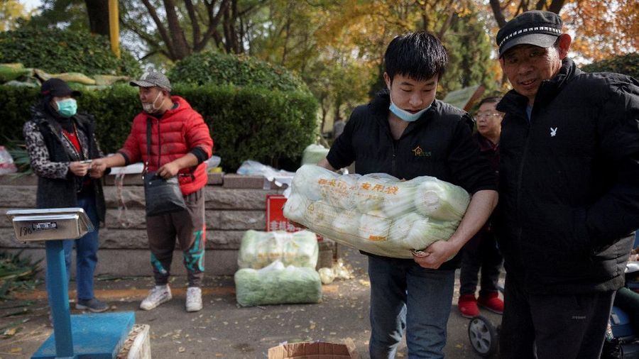 Warga China mulai menimbun kubis untuk musim dingin. (REUTERS/THOMAS PETER)