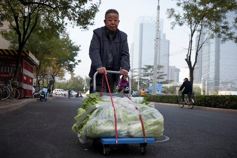 Warga China mulai menimbun kubis untuk musim dingin. (REUTERS/THOMAS PETER)