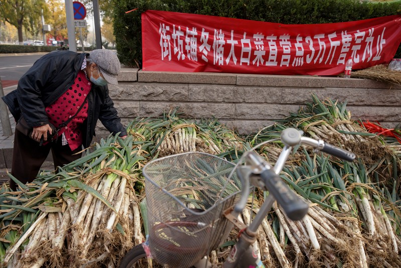 Warga China mulai menimbun kubis untuk musim dingin. (REUTERS/THOMAS PETER) Warga China mulai menimbun kubis untuk musim dingin. (REUTERS/THOMAS PETER)