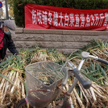 Potret Terkini Panic Buying China, Kubis-Sawi Ludes Diborong