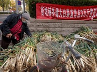 Potret Terkini Panic Buying China, Kubis-Sawi Ludes Diborong