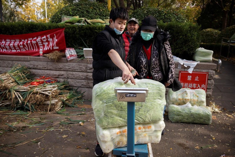 Warga China mulai menimbun kubis untuk musim dingin. (REUTERS/THOMAS PETER) Warga China mulai menimbun kubis untuk musim dingin. (REUTERS/THOMAS PETER)