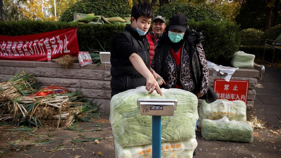 Warga China mulai menimbun kubis untuk musim dingin. (REUTERS/THOMAS PETER)