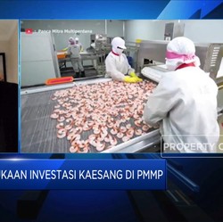 Kaesang Happy, Laba Emiten Udang Miliknya Naik Segini!