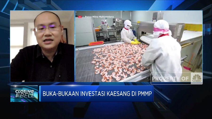 Buka-bukaan Investasi Kaesang di Emiten Pengolahan Udang  (վ TV)