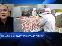 Kaesang Happy, Laba Emiten Udang Miliknya Naik Segini!