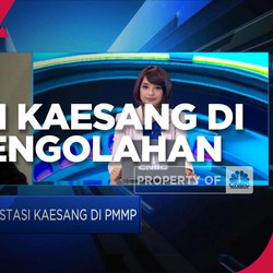 Buka-bukaan Investasi Kaesang di Emiten Pengolahan Udang