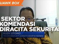 Investasi Akhir Tahun, Ini Rekomendasi Aldiracita Sekuritas