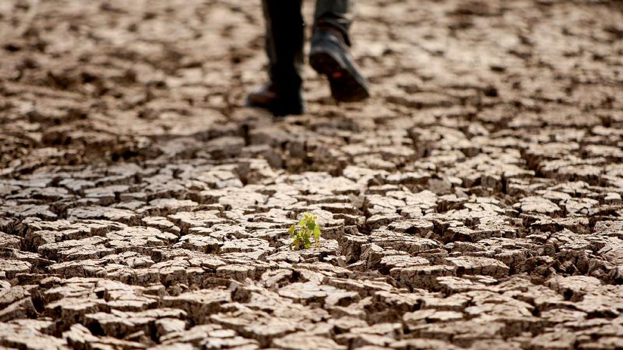 Kekeringa disejumlah negara. (REUTERS/SERTAC KAYAR)