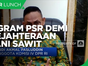 Komisi IV Dorong Program PSR Demi Kesejahteraan Petani Sawit