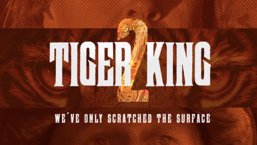 Tiger King 2