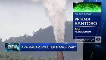 12 Smelter Mangkrak Masih Bisa Diselamatkan? Ini Kata AP3I