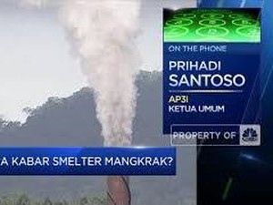 12 Smelter Mangkrak Masih Bisa Diselamatkan? Ini Kata AP3I