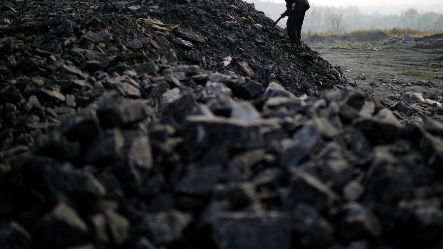 Bongkar muat batu bara di China. (REUTERS/ALY SONG)