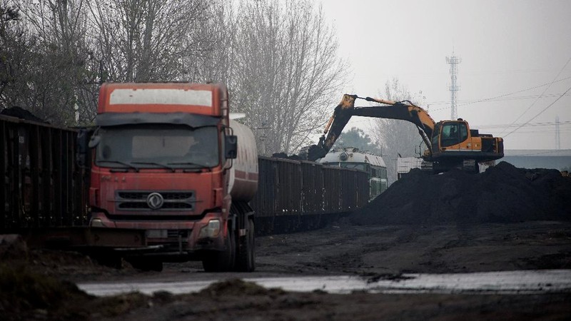 Bongkar muat batu bara di China. (REUTERS/ALY SONG)
