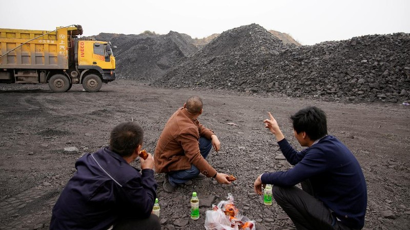 Bongkar muat batu bara di China. (REUTERS/ALY SONG)