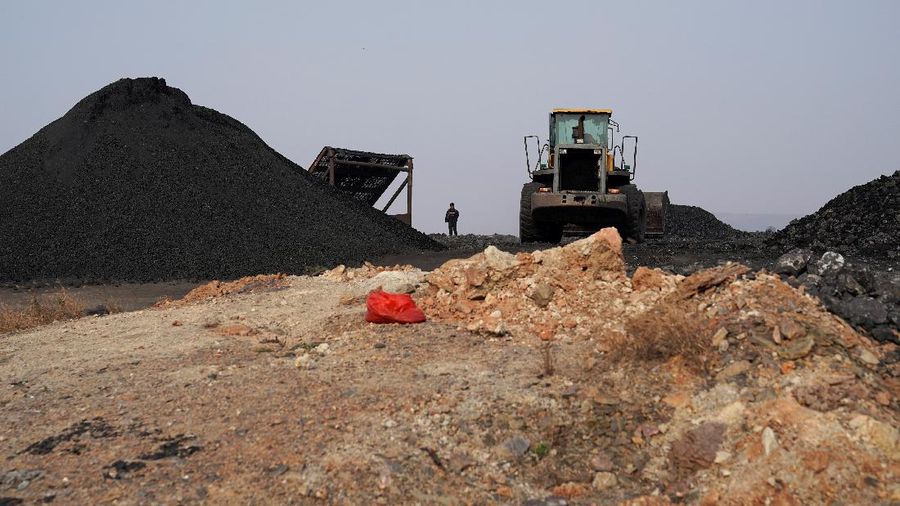 Bongkar muat batu bara di China. (REUTERS/ALY SONG)