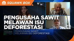 Pengusaha Sawit Melawan Isu Deforestasi