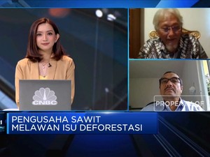 Langkah Industri Sawit RI Hadapi Diskriminasi Uni Eropa