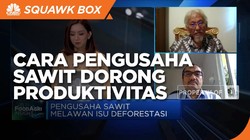 Dorong Produktivitas, Cara Pengusaha Sawit Setop Deforestasi