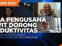 Dorong Produktivitas, Cara Pengusaha Sawit Setop Deforestasi